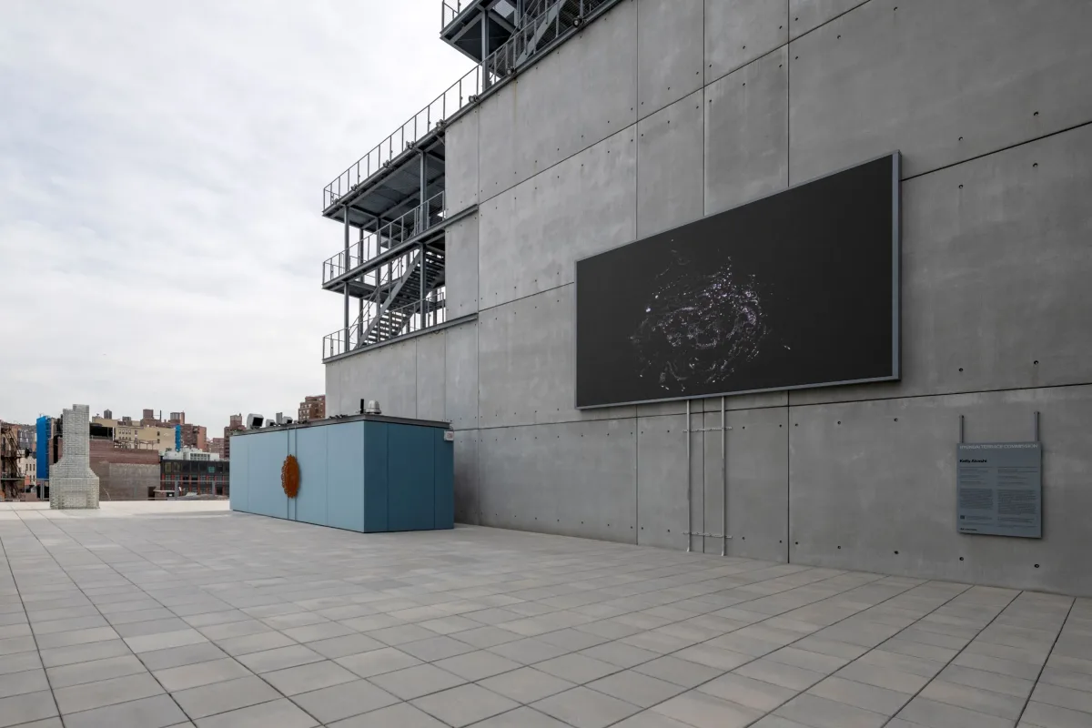 Hyundai Terrace Commission: Kelly Akashi, 2026. Foto: Timothy Schenck.